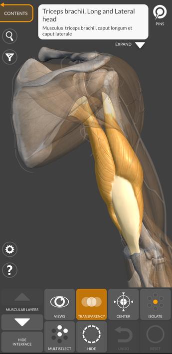 3D Anatomy for the Artist