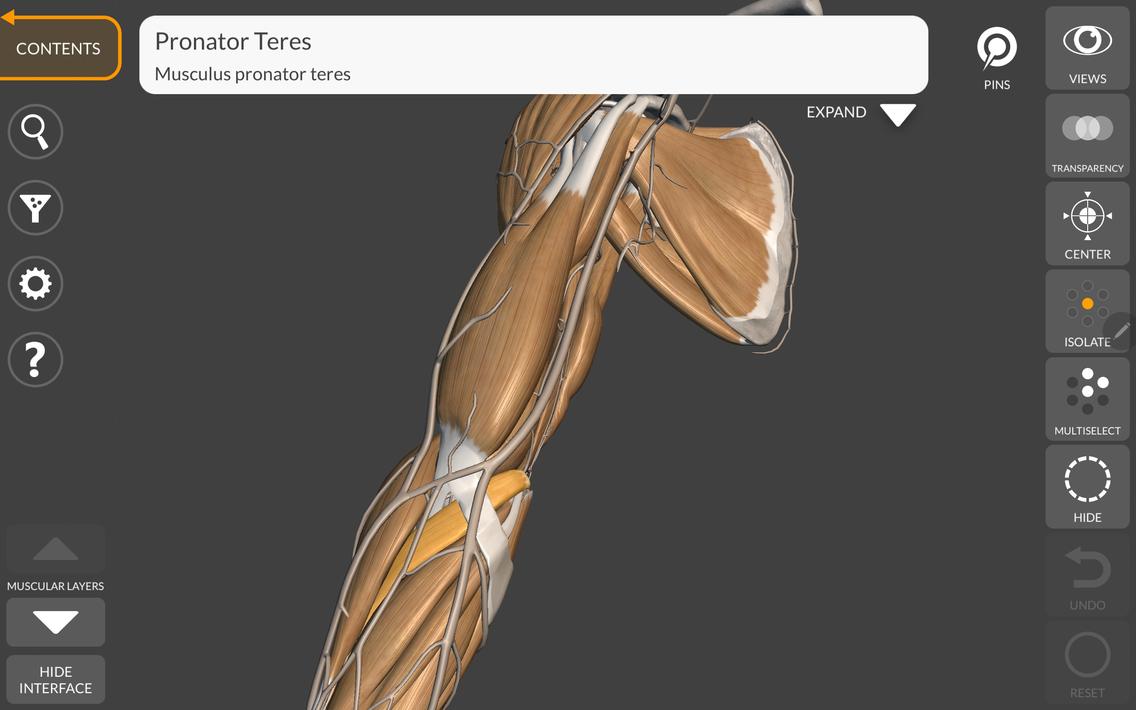 3D Anatomy for the Artist