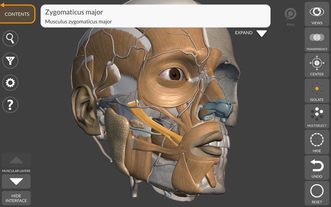 3D Anatomy for the Artist