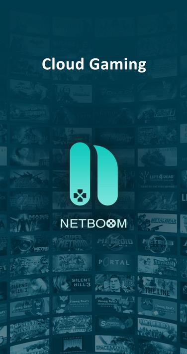 Netboom