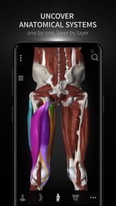 Anatomyka - 3D Anatomy Atlas