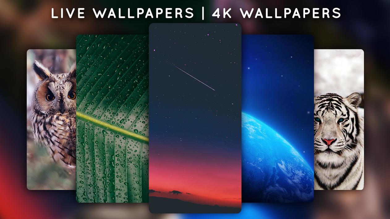 Live Wallpapers, 4K Wallpapers