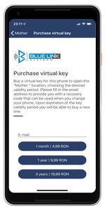 BlueLink Access