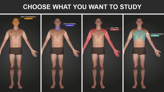 RX - Radiographic Positioning