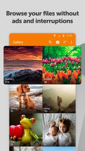 Simple Gallery Pro