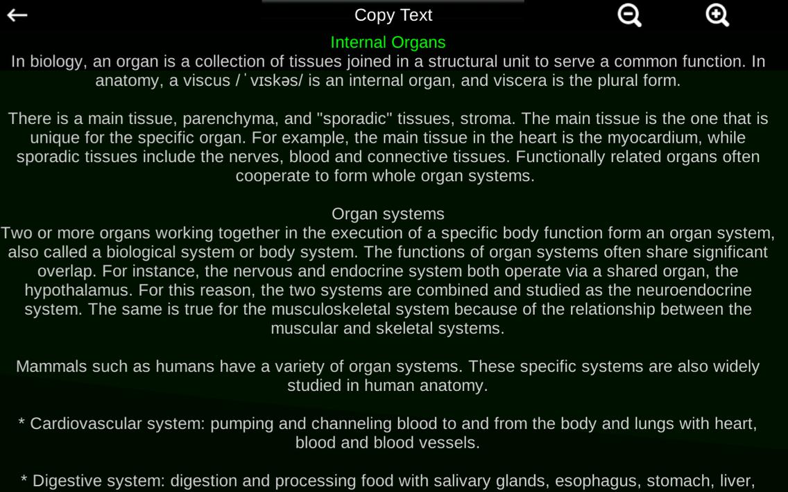 Internal Organs in 3D Anatomy