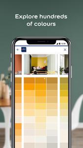 Dulux Visualizer