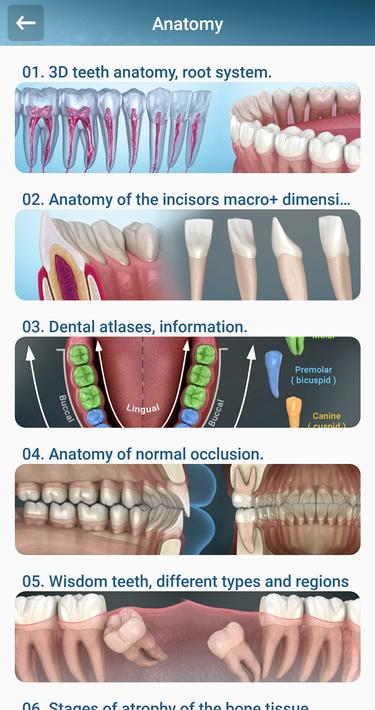 Dental 3D Illustrations