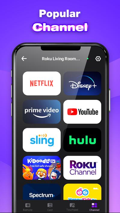 Roku Remote Control TV Remote