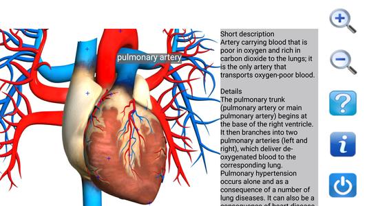 Visual Anatomy Free