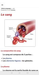 Anatomy - Physiology