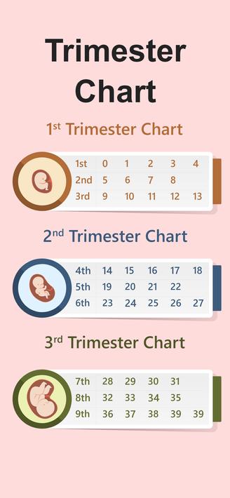 Pregnancy Calculator, Calendar