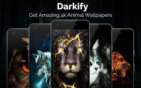 Black Wallpaper: Darkify