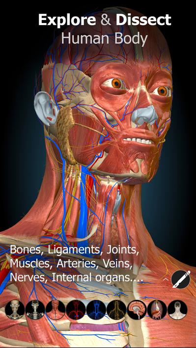 Anatomy Learning - 3D Anatomy