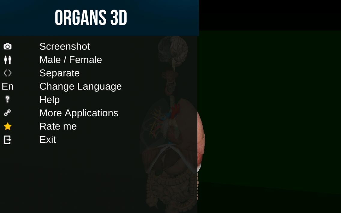 Internal Organs in 3D Anatomy