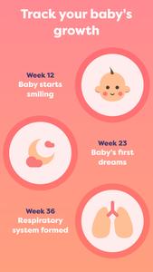 Pregnancy tracker week by week