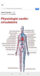 Anatomy - Physiology