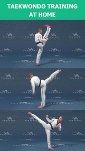 Mastering Taekwondo