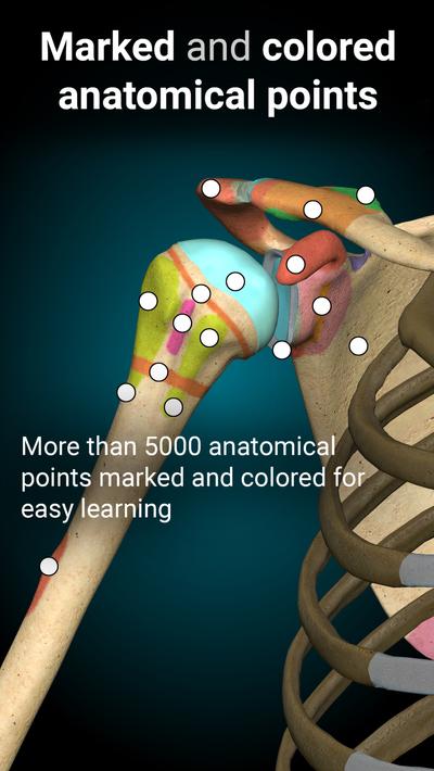 Anatomy Learning - 3D Anatomy