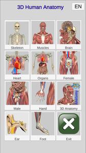 3D Bones and Organs (Anatomy)