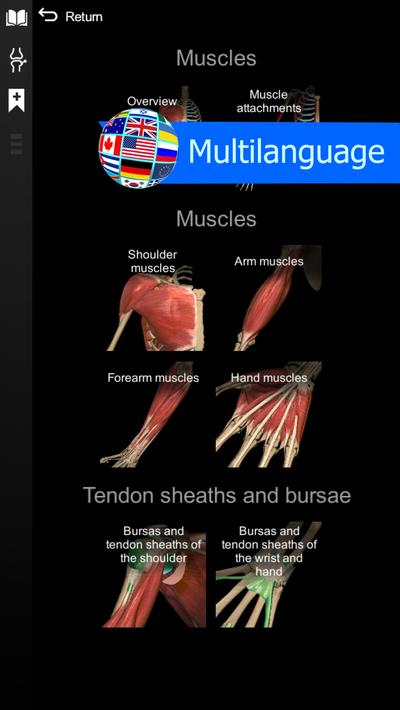 Anatomy Learning - 3D Anatomy