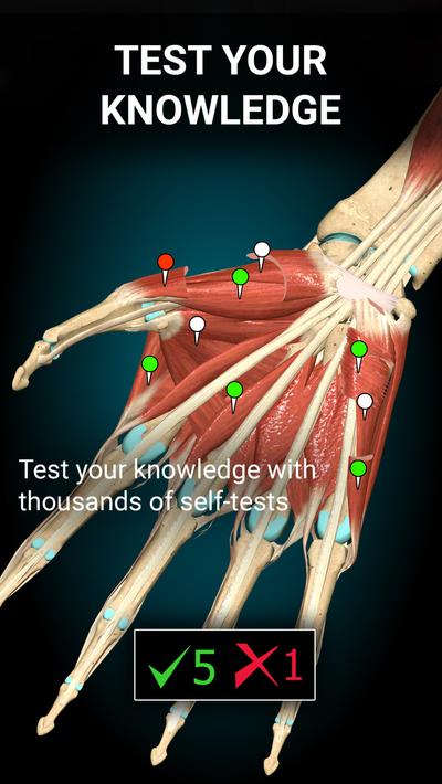 Anatomy Learning - 3D Anatomy