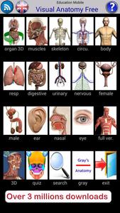 Visual Anatomy Free