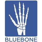 BLUE BONE