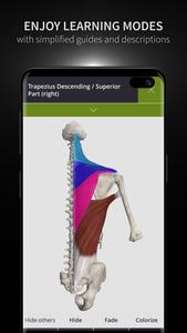 Anatomyka - 3D Anatomy Atlas