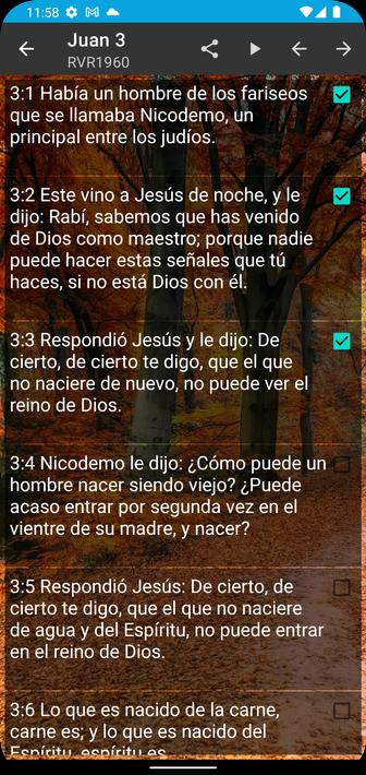 Mi Biblia