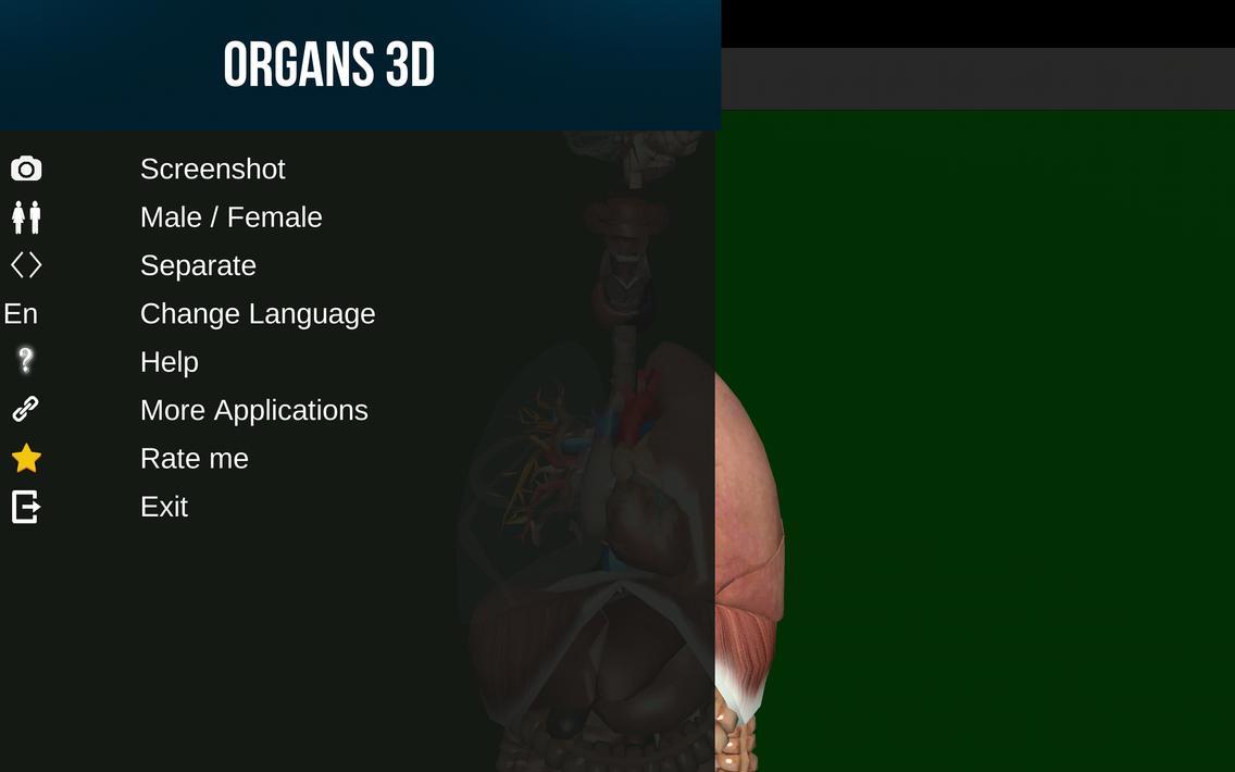 Internal Organs in 3D Anatomy