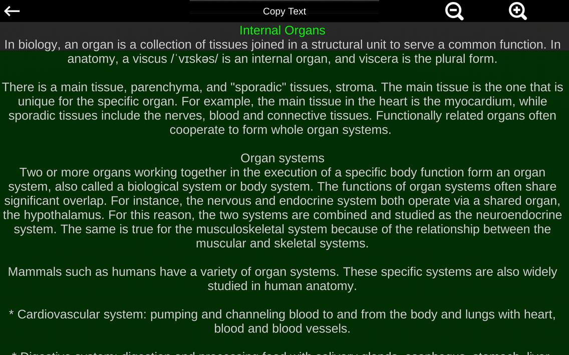 Internal Organs in 3D Anatomy