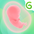 Glow Nurture Pregnancy Tracker