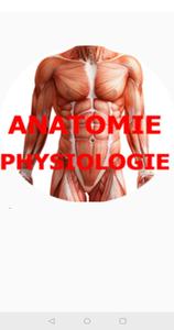 Anatomy - Physiology