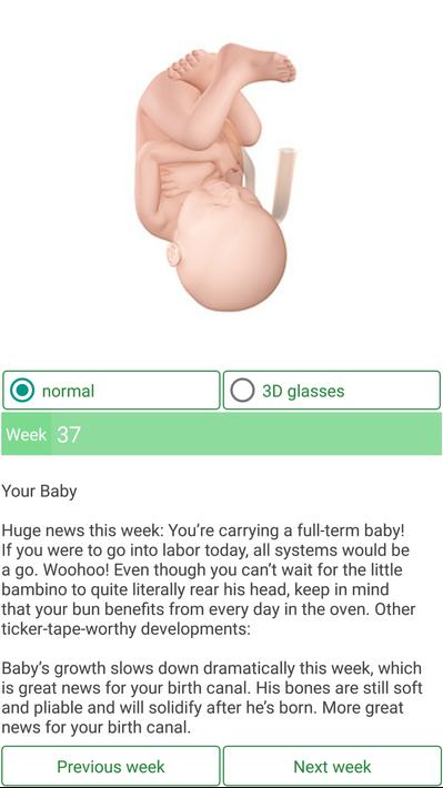 Pregnancy Due Date Calculator