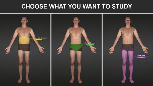 RX - Radiographic Positioning