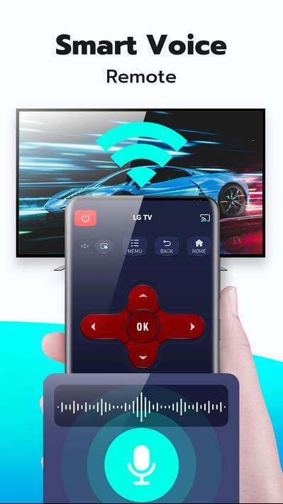 Universal TV Remote Control