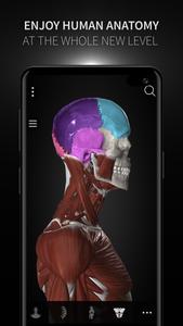 Anatomyka - 3D Anatomy Atlas