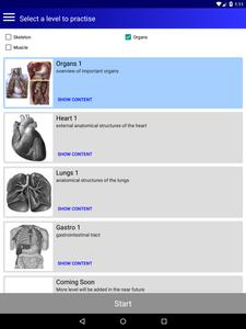 Anatomy Quiz