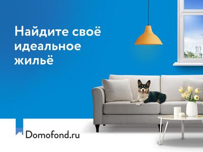 Domofond квартиры, новостройки