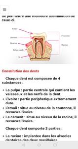 Anatomy - Physiology