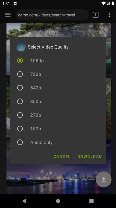 Video Downloader