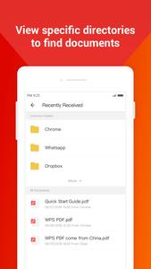 WPS PDF