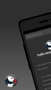 Puffin Incognito Browser