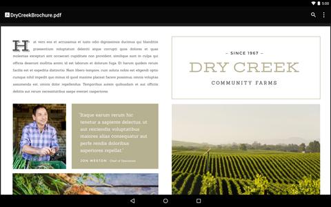 Google PDF Viewer