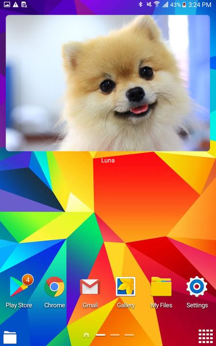 Simple Photo Widget