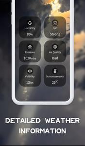 Daily Weather