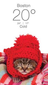 Weather Kitty