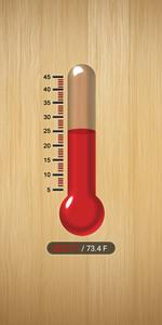 Thermometer