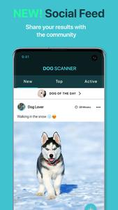 Dog Scanner